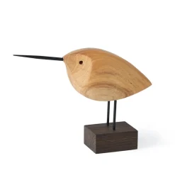 Adorno Beak Bird, Awake Snipe