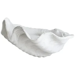Adorno Shell, Large
