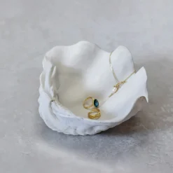 Adorno Shell, Small