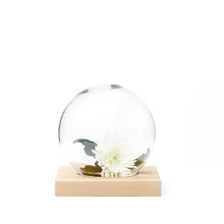 Adorno Space, Roble aceitado blanco, vidrio