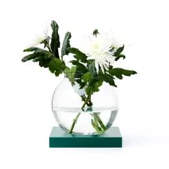 Adorno Space, Roble verdebetsad, vidrio