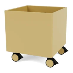 Colour Box I – S6161, Cumin