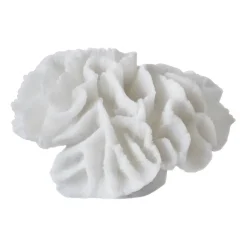 Decoración Coral gills, White