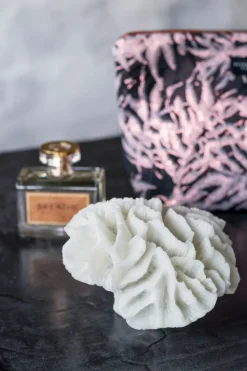 Decoración Coral gills, White
