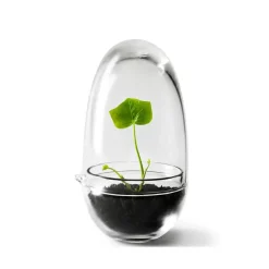 Invernadero Grow, Pequeño ø8 cm