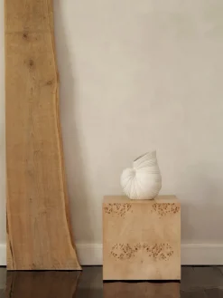Jarrón Shell, Off white