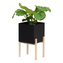 Maceta Botanic pedestal, negro-fresno