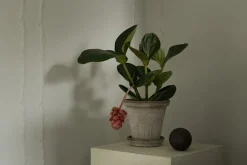 Maceta Fleur con plato, 2 piezas, Gris, Ø18 cm