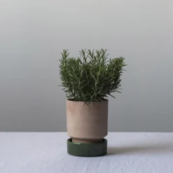 Maceta Hoff, Ø18 cm, Raw Rosa-Emerald Green