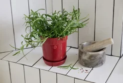 Maceta para especias Elise Ø11 cm, Burdeos