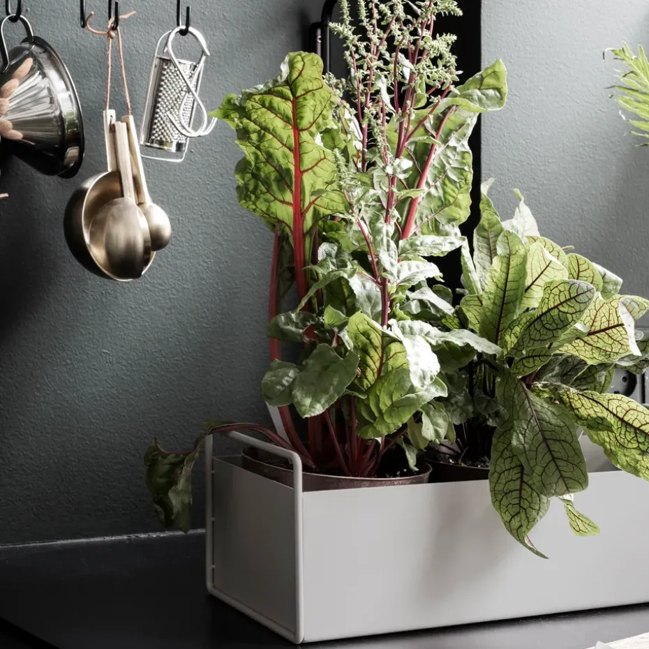 Macetero Plant Box S, gris claro