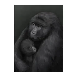 Póster Bergsgorillan, 30x40 cm