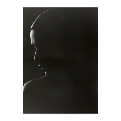 Póster The Silhouette, 50x70 cm