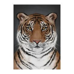 Póster Tiger, 30x40 cm