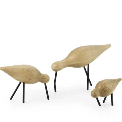 Shorebird, roble-negro, grande