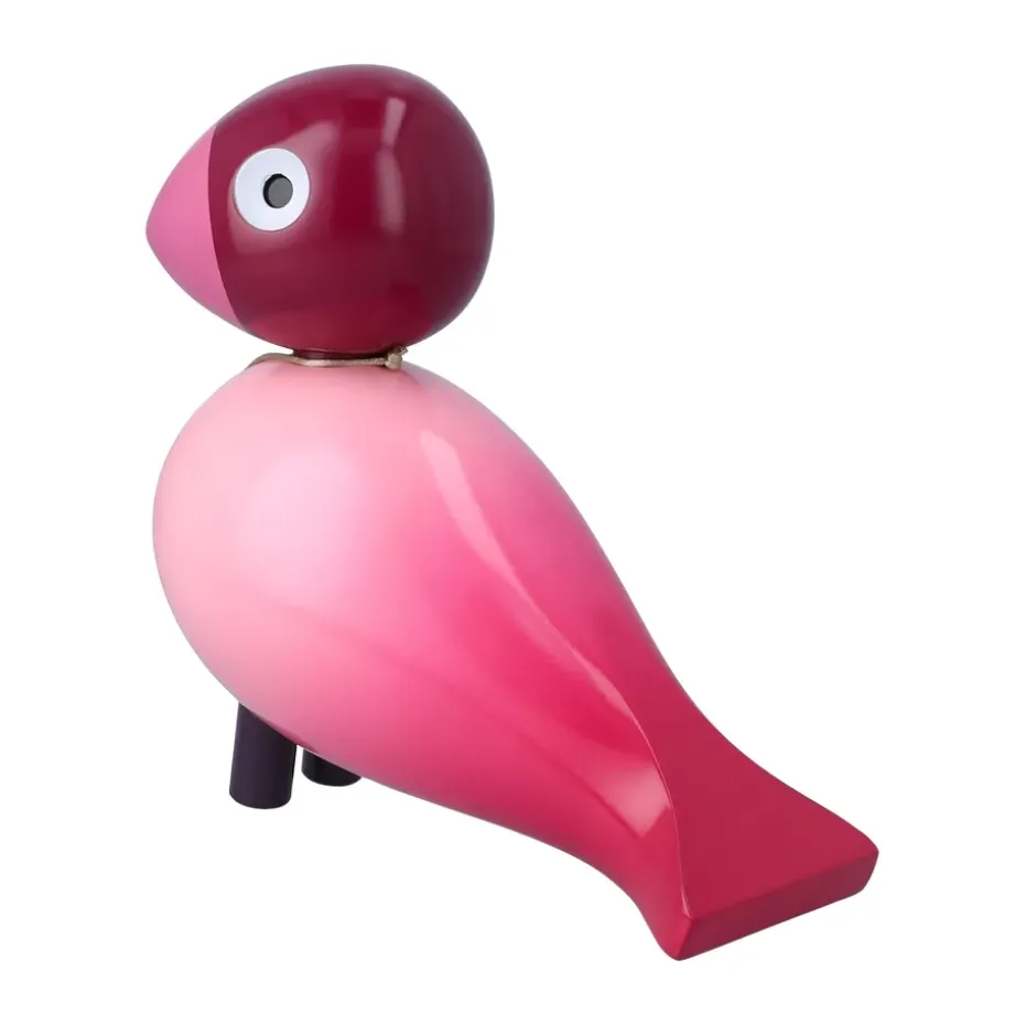 Story bird, Pasión